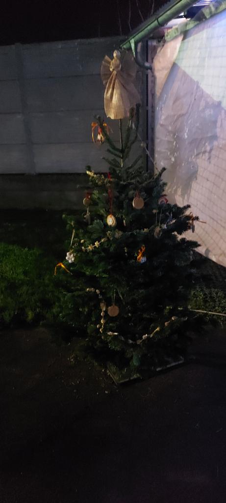 Rozsvicení vánočního stromku